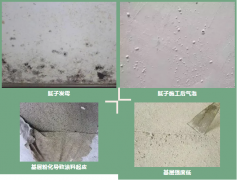 凯时KB88·(中国集团)官方网站